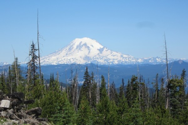 Mount Rainier - first ultramarathon